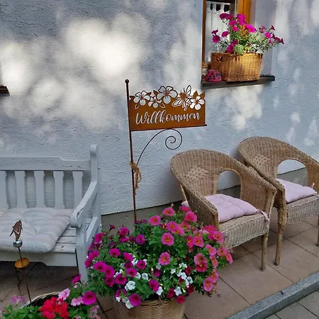 Burg Laudegg Blick *