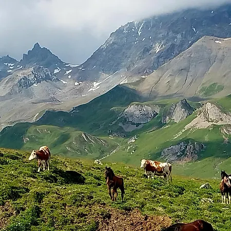 Burg Laudegg Blick Faggen
