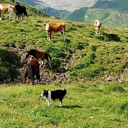 Burg Laudegg Blick Lägenhet *