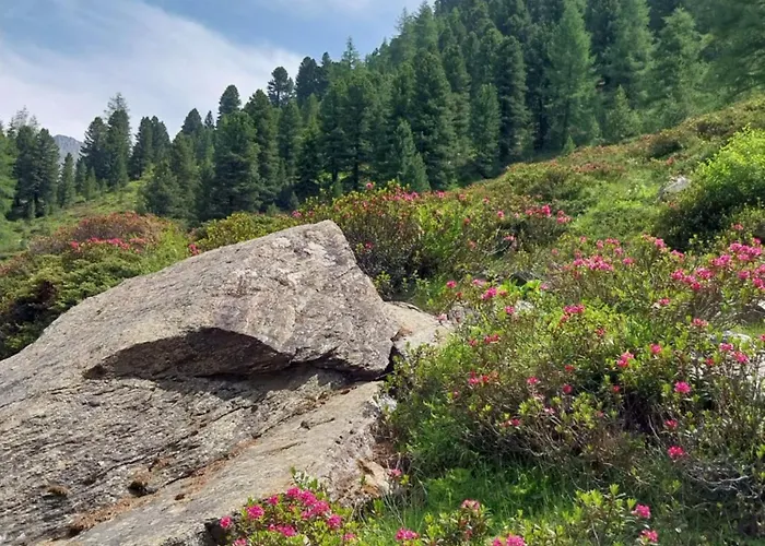 Burg Laudegg Blick Apartment Faggen