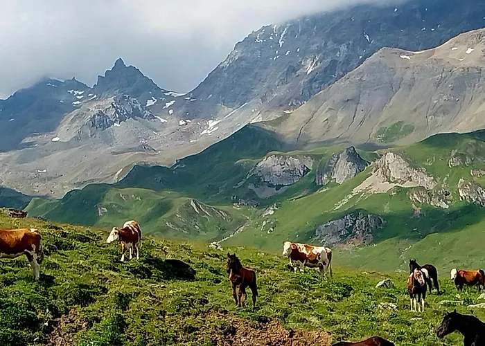 Burg Laudegg Blick Faggen