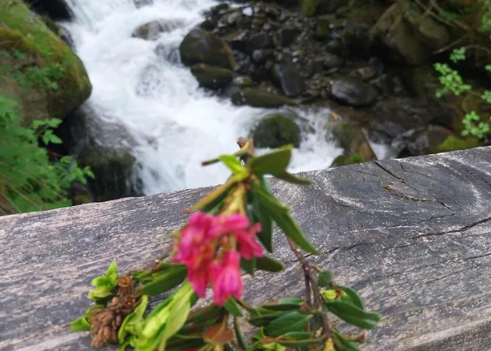 Burg Laudegg Blick Apartment