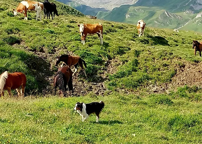 Burg Laudegg Blick Apartment *