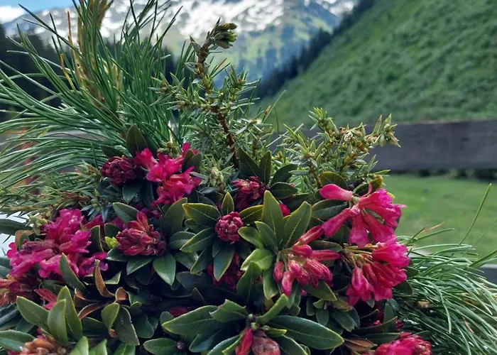 Burg Laudegg Blick Apartment Faggen