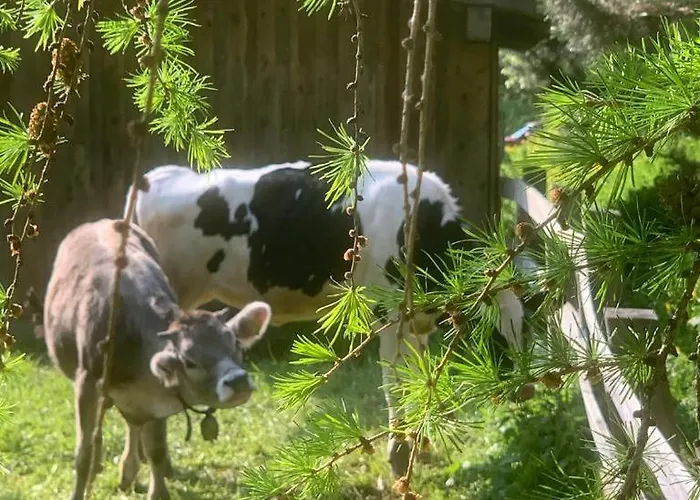Burg Laudegg Blick Apartment Faggen